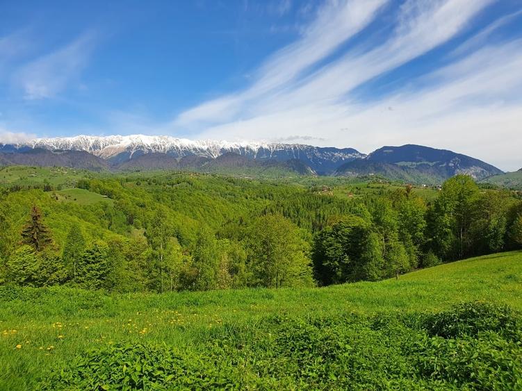 Teren Construcții intravilan de 38000 mp, în Moieciu
