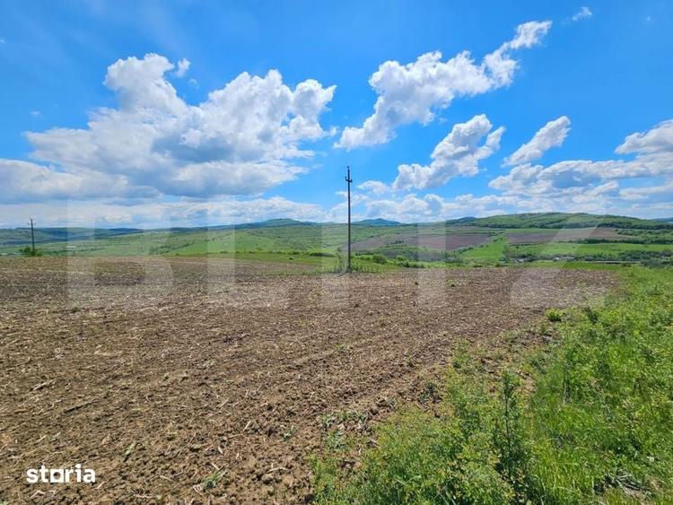 Teren de 5800 mp, în Șintereag