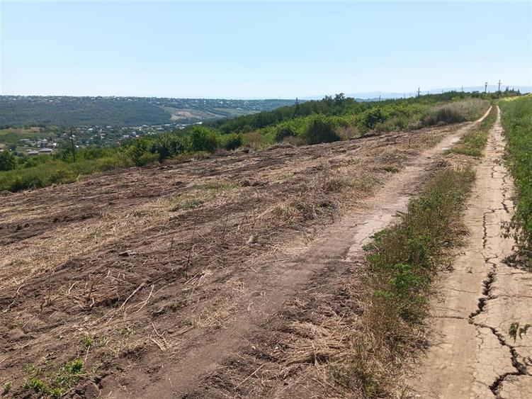 Teren Construcții intravilan de 10000 mp, în Șorogari