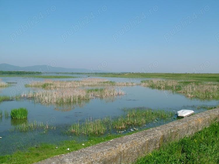 Teren de 8000 mp, în Drăgoești
