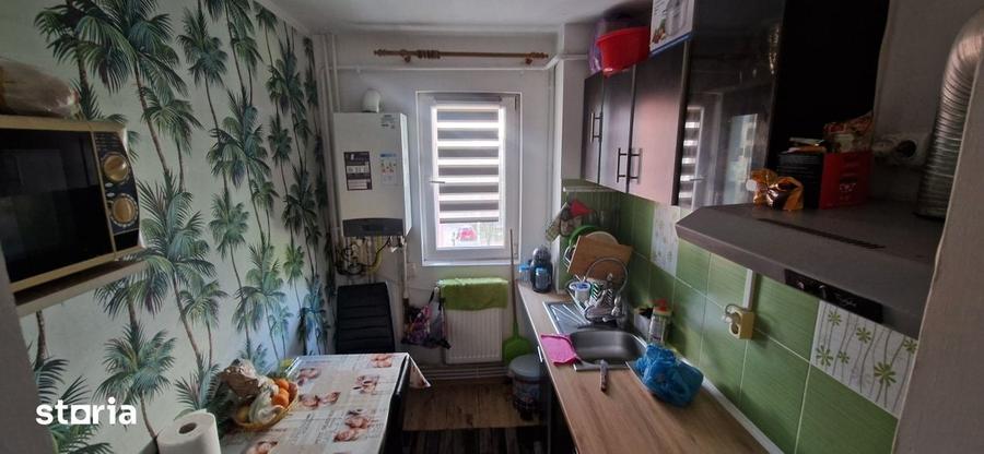 Apartament cu 3 camere în Craiovița Nouă
