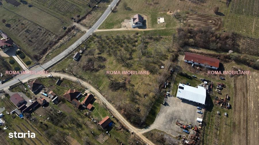 Teren de 6650 mp, în Remetea Chioarului
