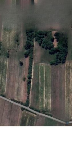 Teren de 9000 mp, în Dumbrăvița