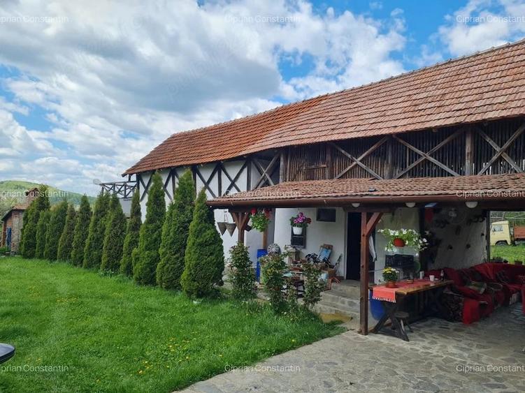 Casă cu Teren 20855 Mp în Albești