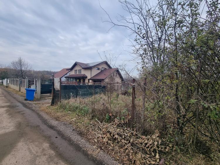 Vand 2500 mp in Branesti, strada Brazi in spatele lizierei, tpate utilitatile, - 4