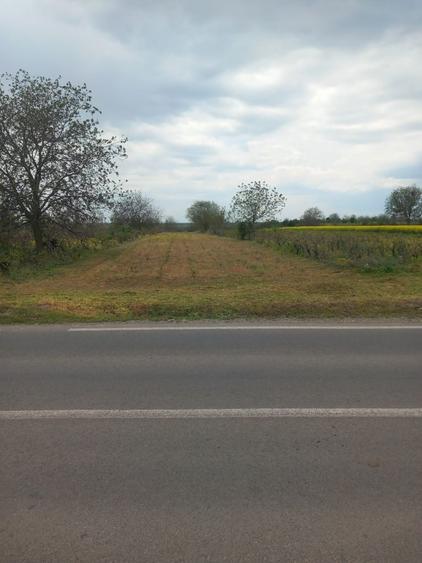 Teren intravilan de vanzare sat stancesti - 2