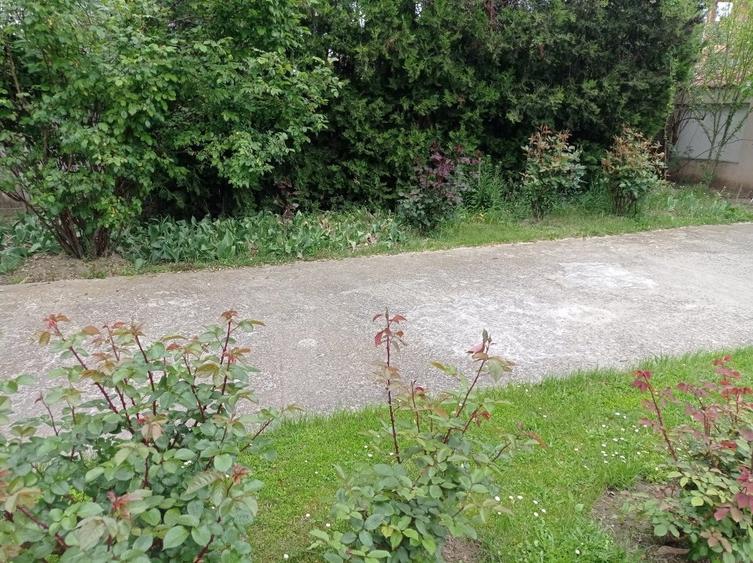 casa / vila Gavana 3  , mobilata / utilata , finisaje clasice ! - 30