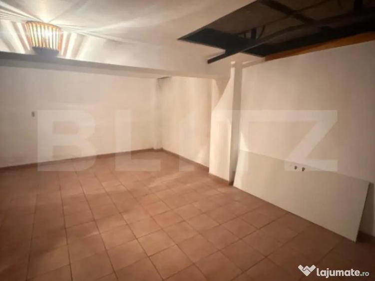 Casa spatioasa de inchiriat, 259 mp, zona Bereasca - 8