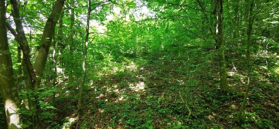 Teren Valiug 900-2400 mp acces auto utilita?i negociabil - 15