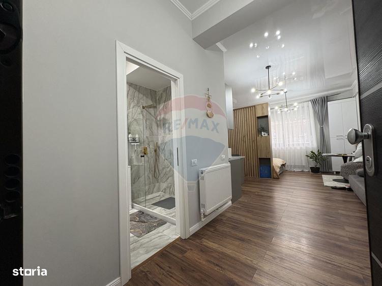 Apartament in zona Hanul cu Pe?te - ?tefan Building Lake II - 3