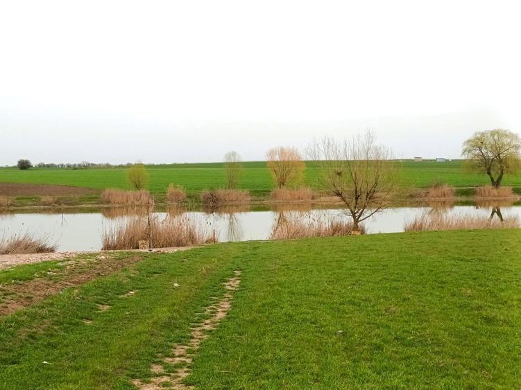 Teren Intravilan, Vedere la Lac, Rate la Dezvoltator - 3