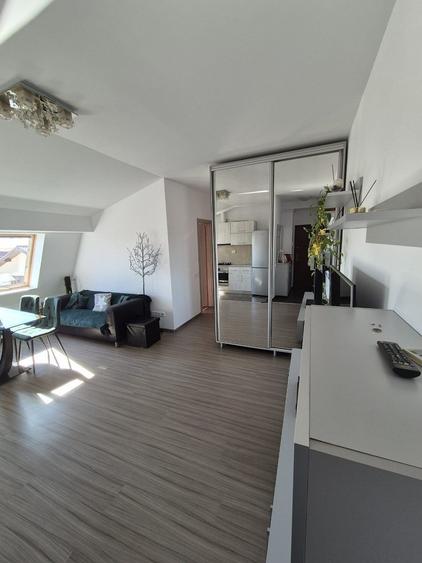 1 Dcembrie, Trapezului, apartament 2 camere mobilat - 4