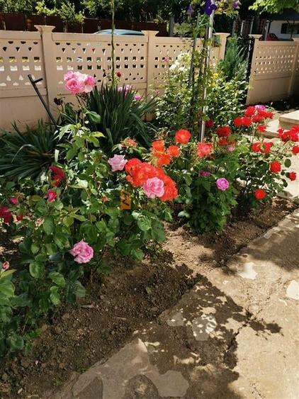 Casa tip parter zona Izvorul Dulce com. Merei - 6