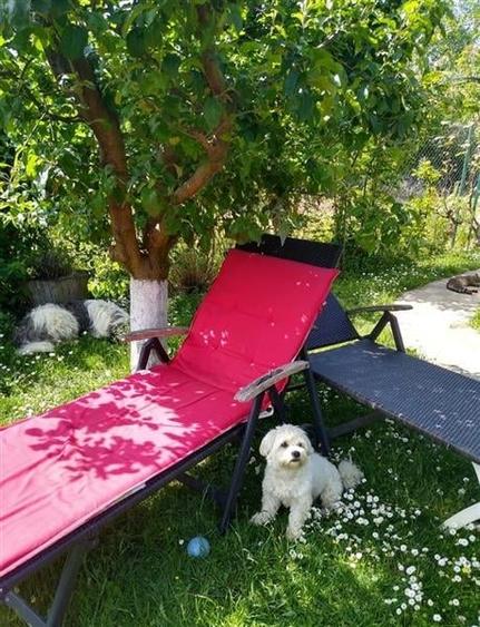 Casă individuală cu 5 camere cu Teren 400 Mp în Central