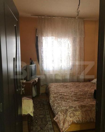 Afacere la cheie + casa, 160mp, Baraitaru - 12