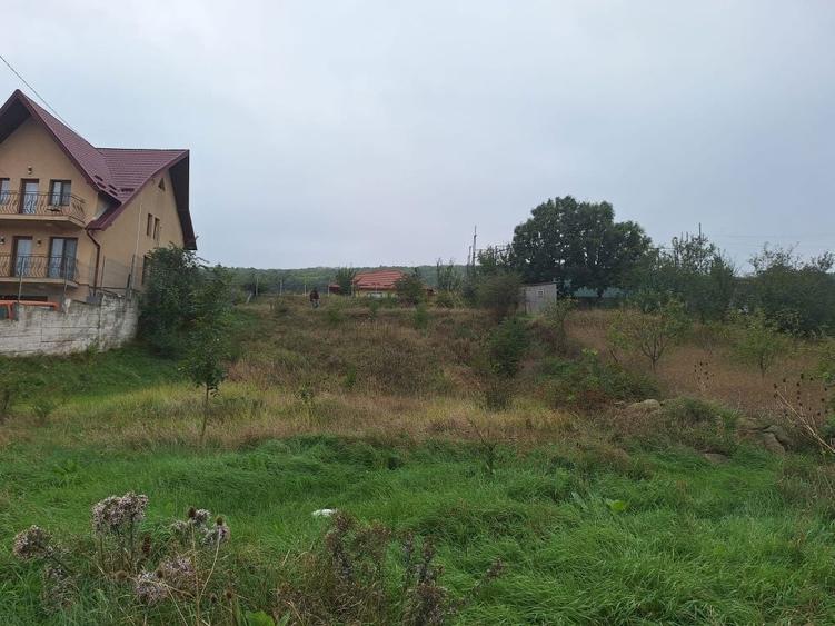 Teren Tomesti intravilan 1000mp,gaz,apa,canal,asfalt,business - 8