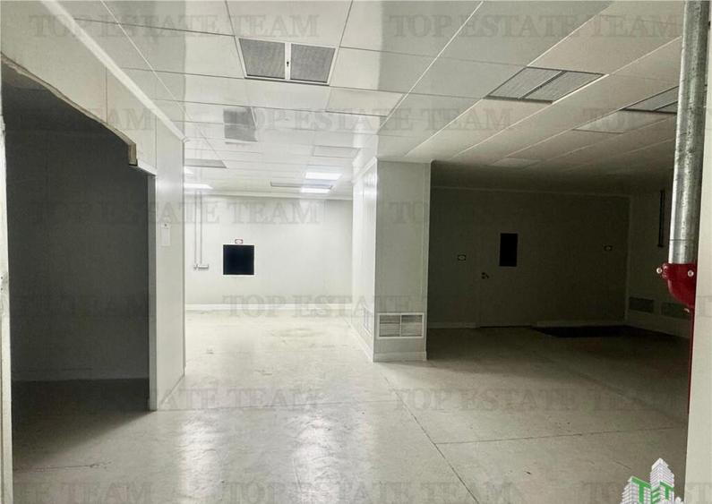 Spatiu industrial de inchiriat Central / Vitan - 10