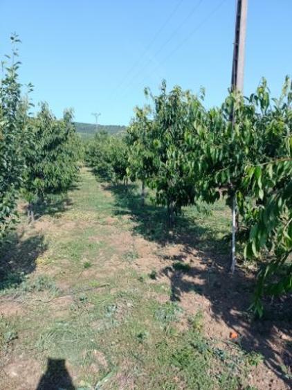 Vind teren intravilan - 3