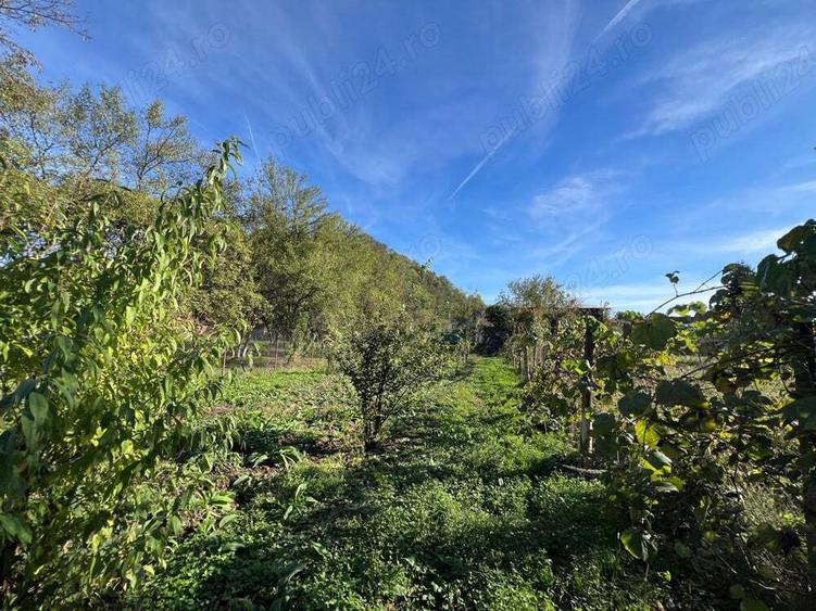 CASA DE VANZARE SAVAR?IN! - 3