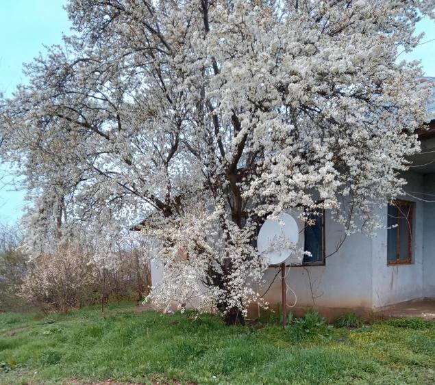 Casa din boltari, acoperita cu tabla, vizavi de gara - 1