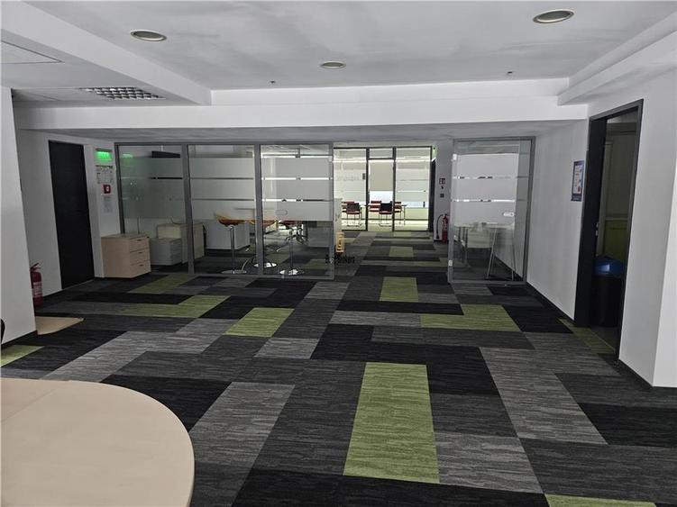 Spatii Birouri - 500 la 3500 mp - Parcul Sub Arini - 16