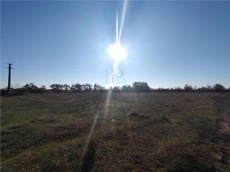 Teren de vanzare - 8027 mp - 2