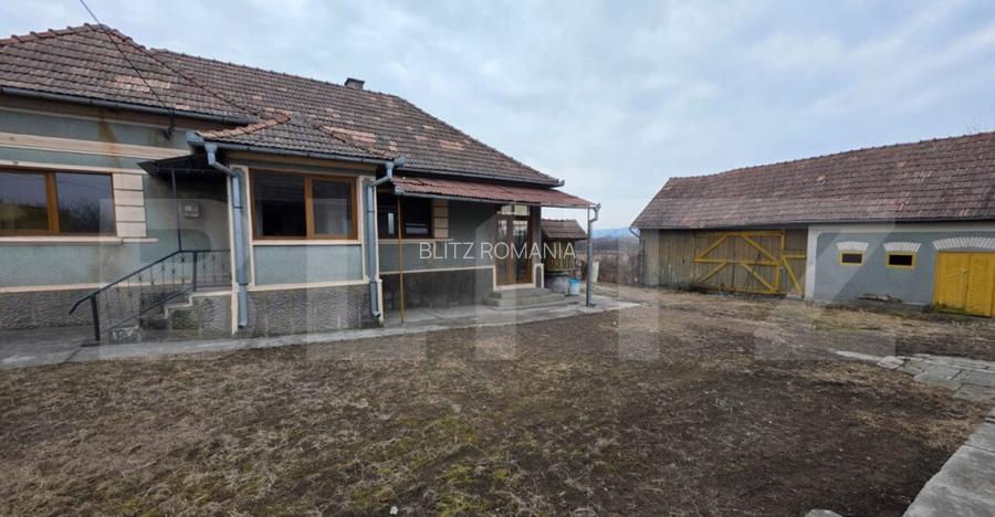 Doua case de vanzare, curte comuna, 4 camer 110mp, 50 ari