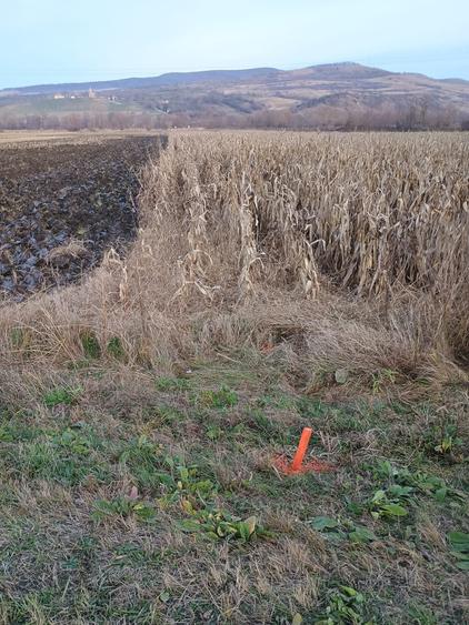 Vand teren extravilan Bacia Hunedoara - 2