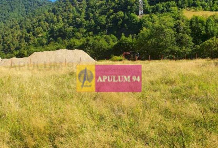 Teren Jude?ul Valcea - Brezoi, Valea lui Stan - 18