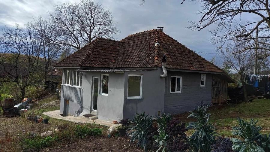 Vand casa de lemn la munte - 7