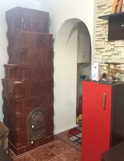 Apartament ideal pentru locuinta permanenta sau casa de vacanta - 8