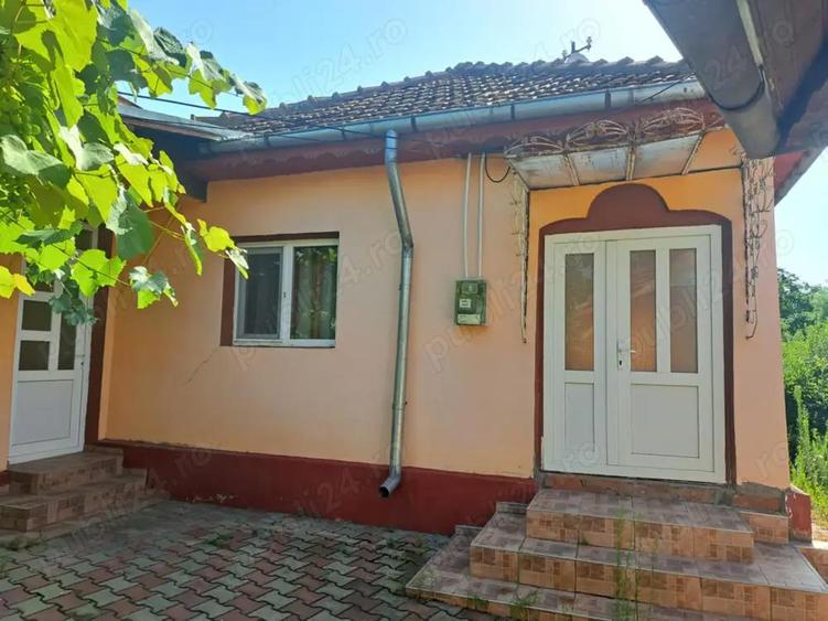 Vand locuinta Plescoi, Buzau - 5