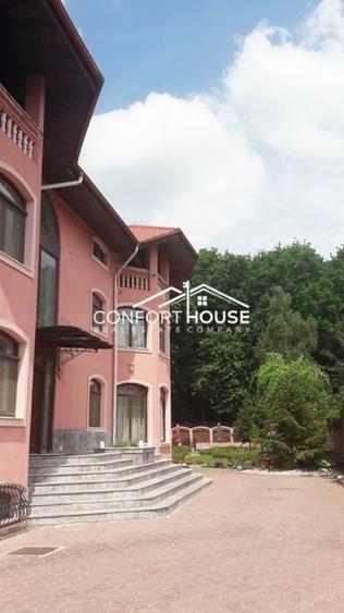 VILA D+P+E+M, 12 camere, piscina , padure, IANCU NICOLAE - 47