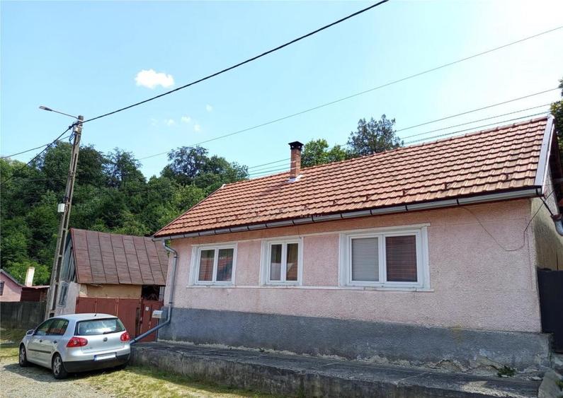 Anina, Sigismund, Casa 4 Incaperi, 1439mp Teren, ZERO Comisi - 2