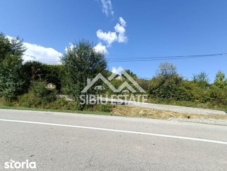 Teren construibil ,la sosea, intre Vale si Sibiel, zona cu potential - 12
