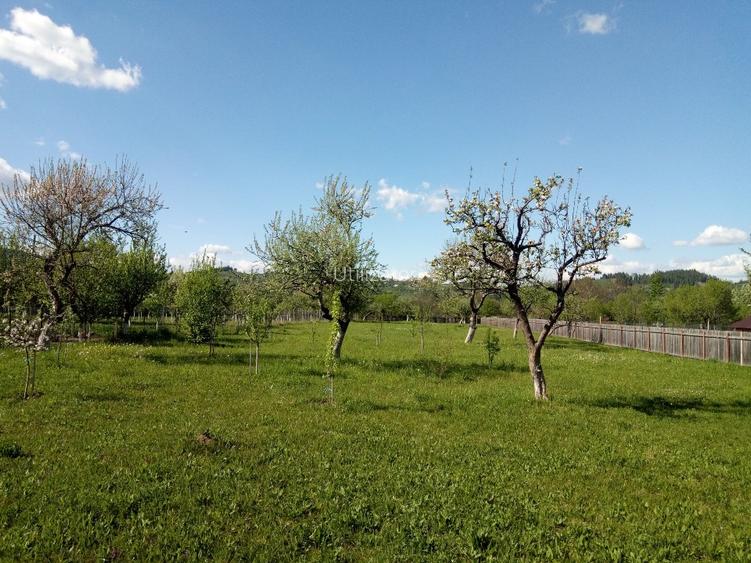 Teren intravilan in Nereju, Vrancea