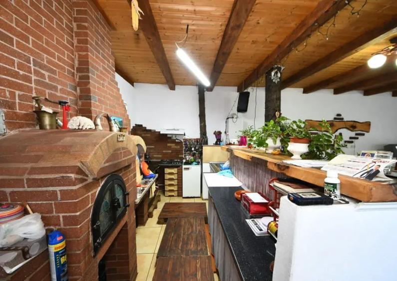 De vanzare casa cu 3 apartamente + anexa 75 mp, Comision 0% - 9