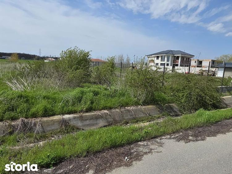 Cornetu, Buda, str. Scolii, teren vanzare - 1