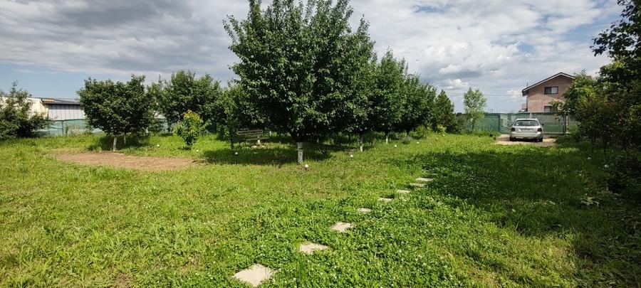 Căscioarele teren 1200 mp + căsuță de gradină și anexe - 2