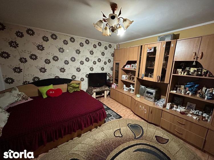 Casa 4 camere zona Plantelor - 13