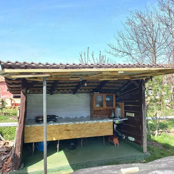Vand casa Lozna jud Salaj - 5