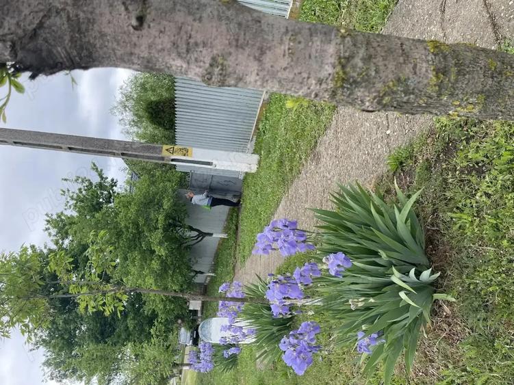 Oaza ta de lini?te la ?ara - 1