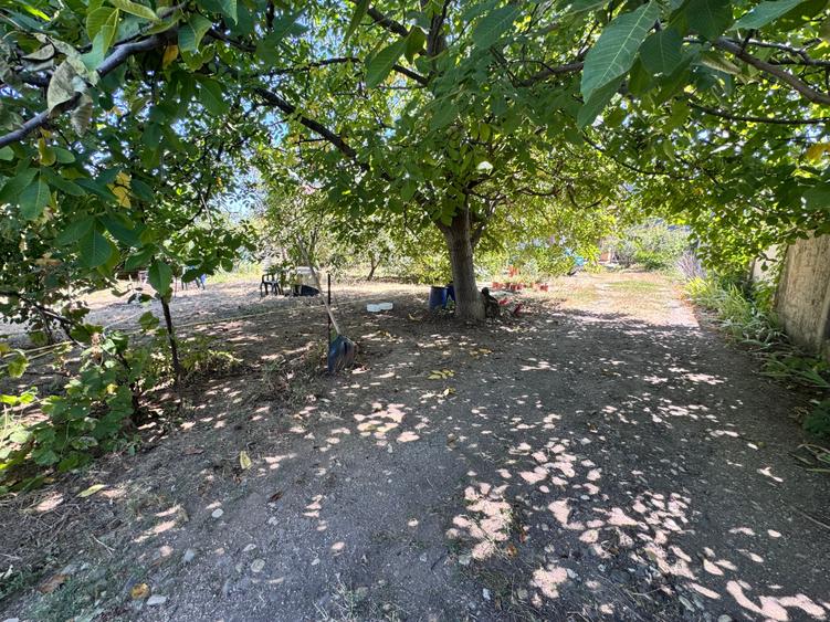 Casa individuala P+1+M amplasata pe un teren de 1612 mp. - 52