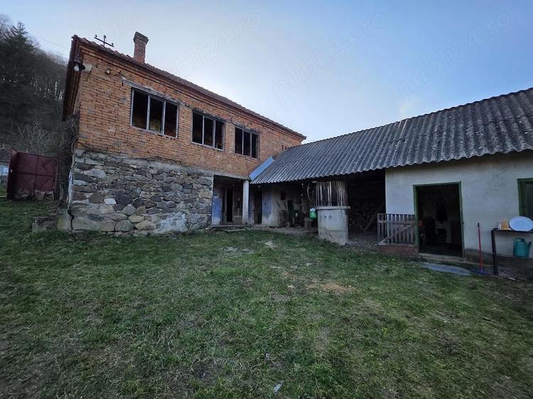 Refugiu la ?ara! Casa cu teren 1887 mp, zona lini?tita aproape de Deva - 17