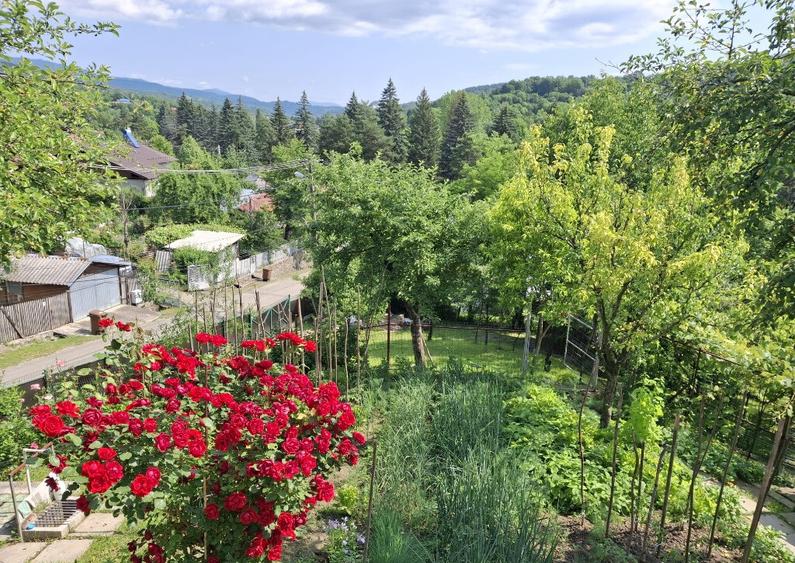 Casa 5 camere,util 112mp,beci,garaj,1200mp intravilan livada,Slanic - 1