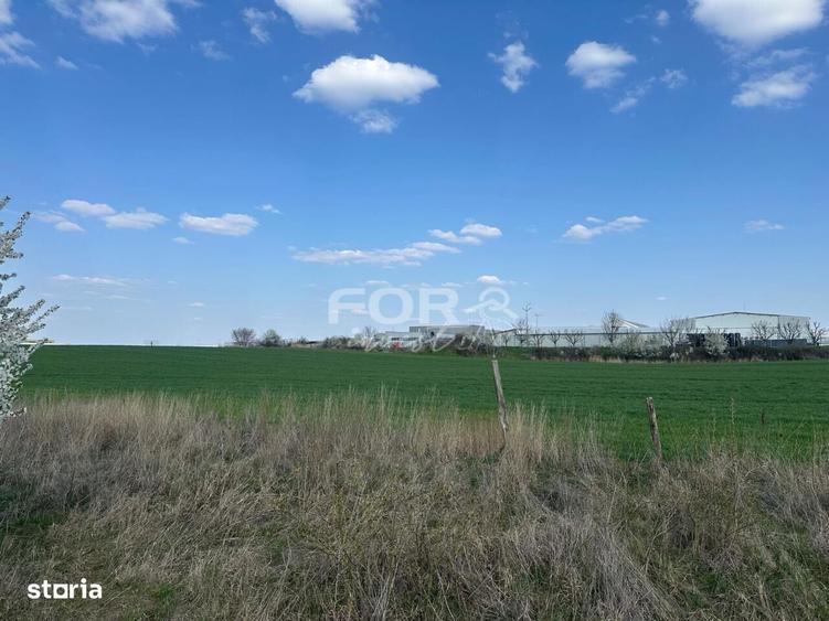 Teren intravilan de vanzare 1000 mp zona Aeroport Oradea - 5