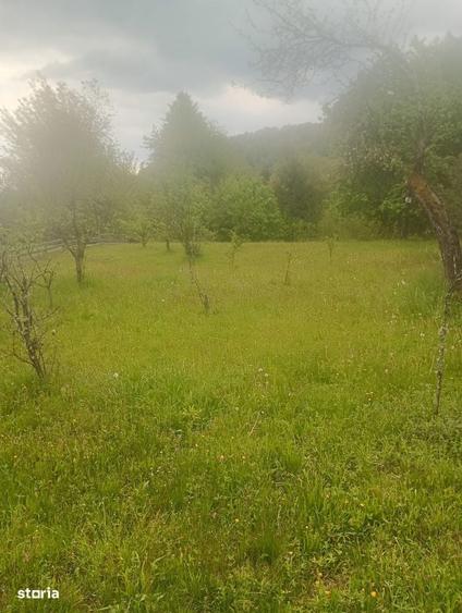 Vand casa ,zona Mun?ilor Apuseni !!! - 3