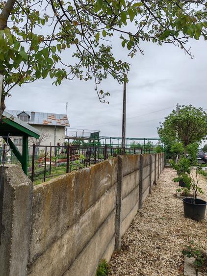 Casă + teren 4200 mp, vie, curent, fosa, anexă – Crevedia Mare, Giurgiu - 2