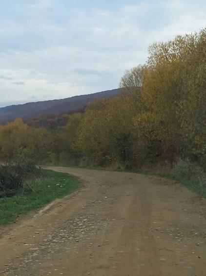 Vand teren extravilan cu pomi fructiferi pe rod - 2