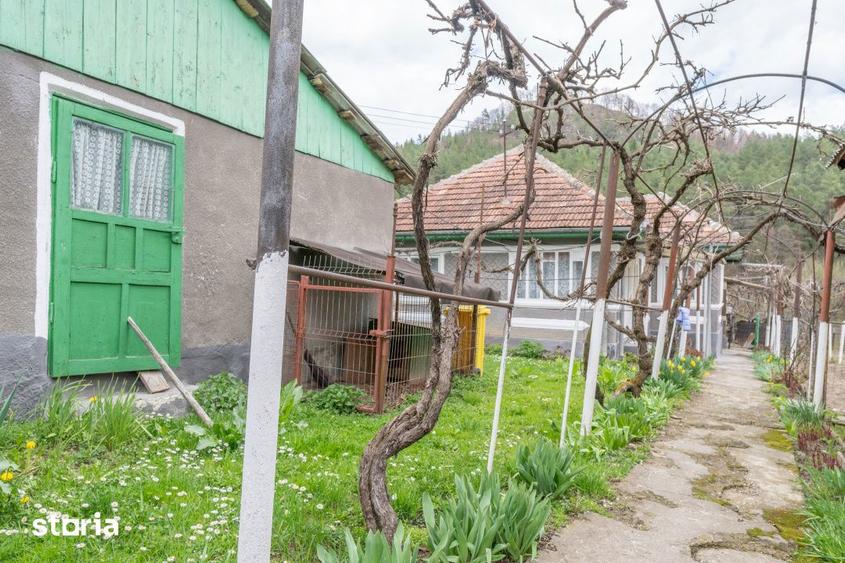 Acasa nu e un apartament. E pe Pietrosu nr. 8, in Zemes. - 18